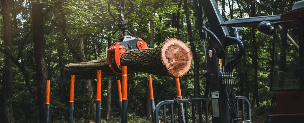 Vd Bois Elagage Sarrebourg Exploitation Forestiere 7